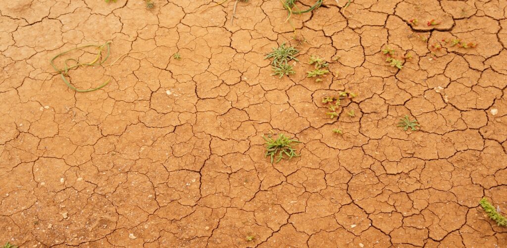 Arid Soil