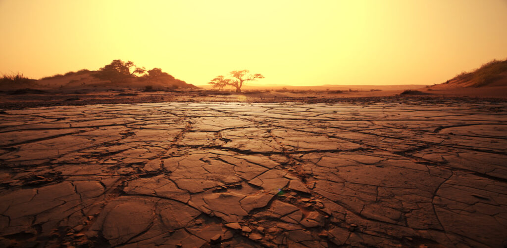 Arid Soil