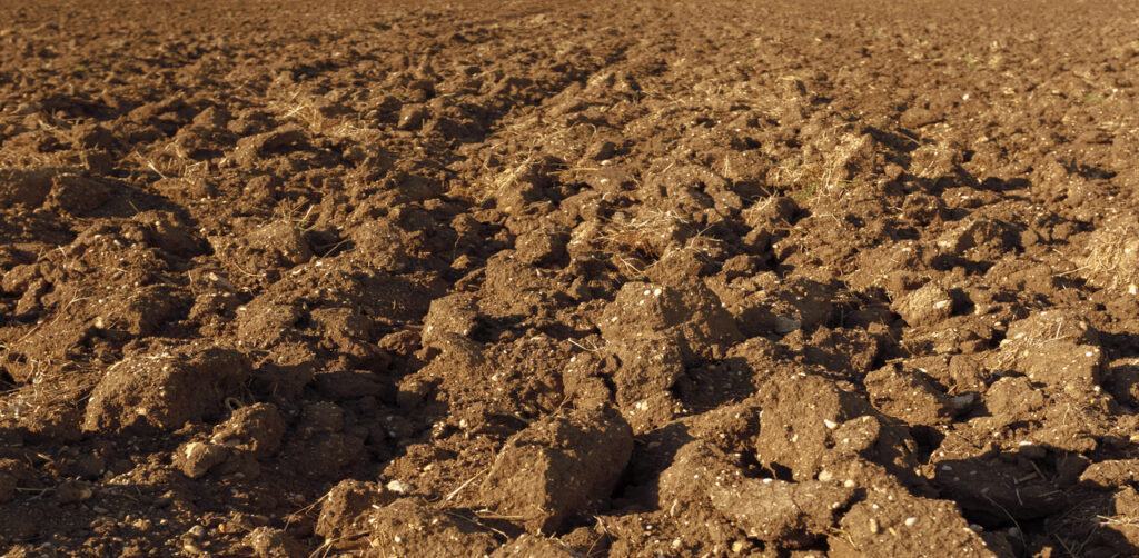 Arid Soil