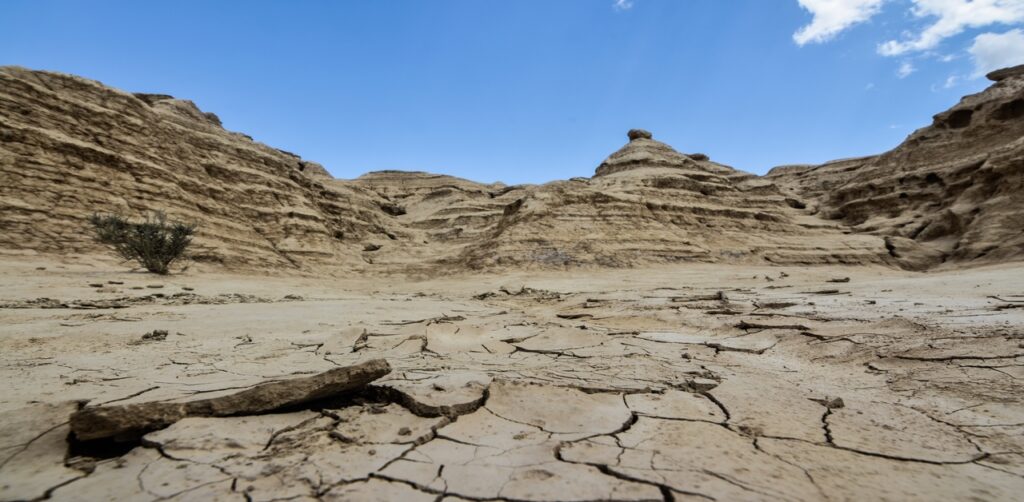 Arid Soil