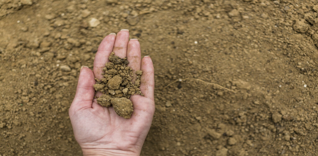 Alluvial Soil