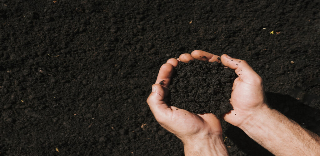 Black Soil