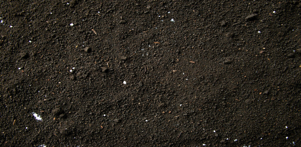 Black Soil