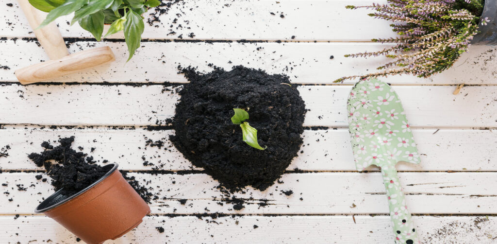 Black Soil