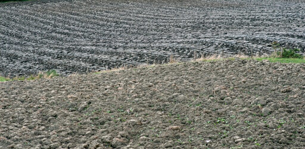 Clay Soil
