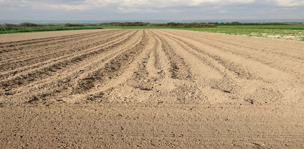 Clay Soil