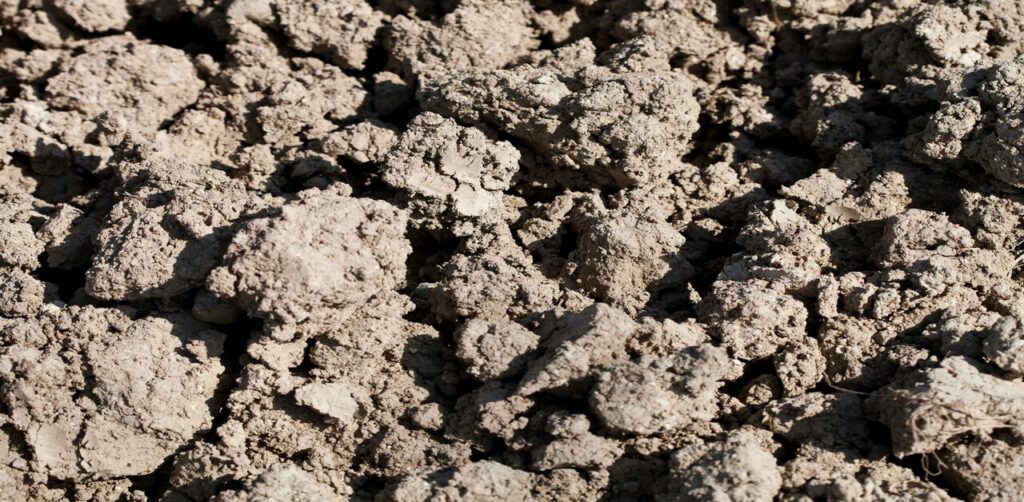 Clay Soil