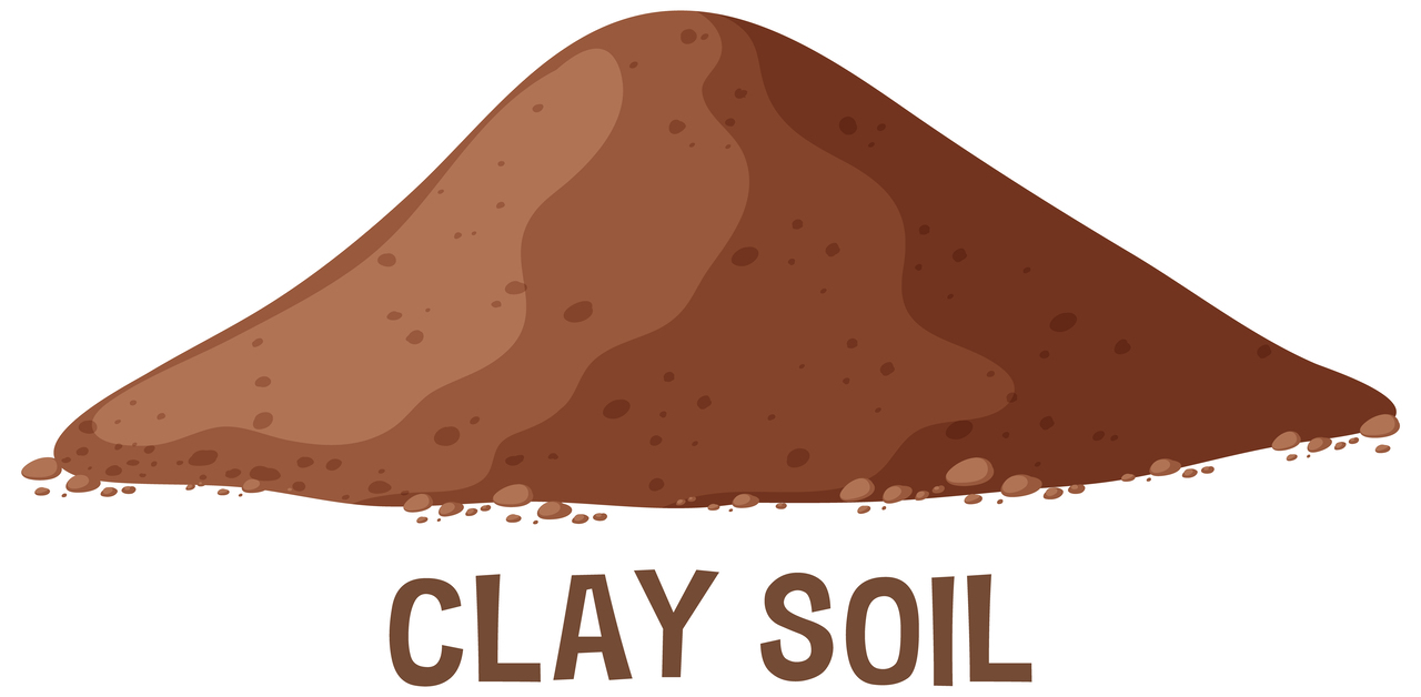 Clay Soil