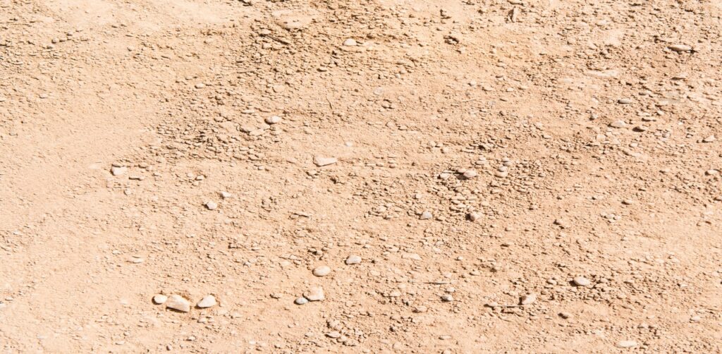 Clay Soil