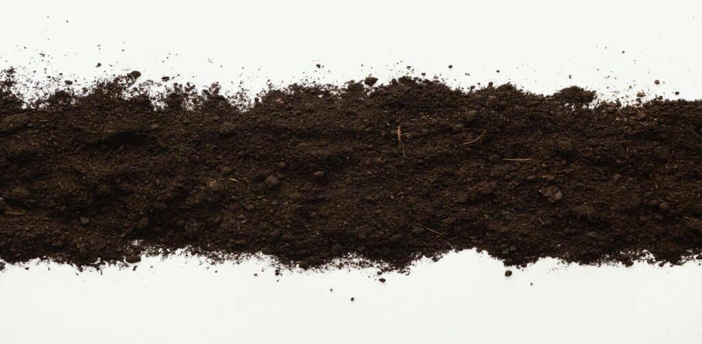 Peaty Soil