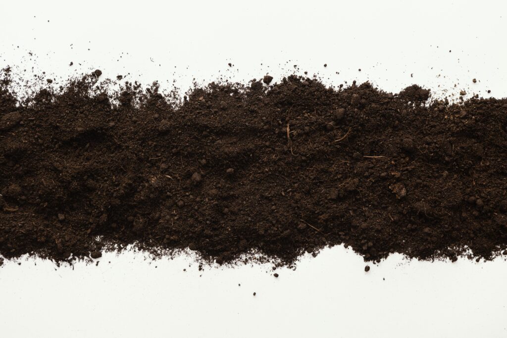 Peaty Soil