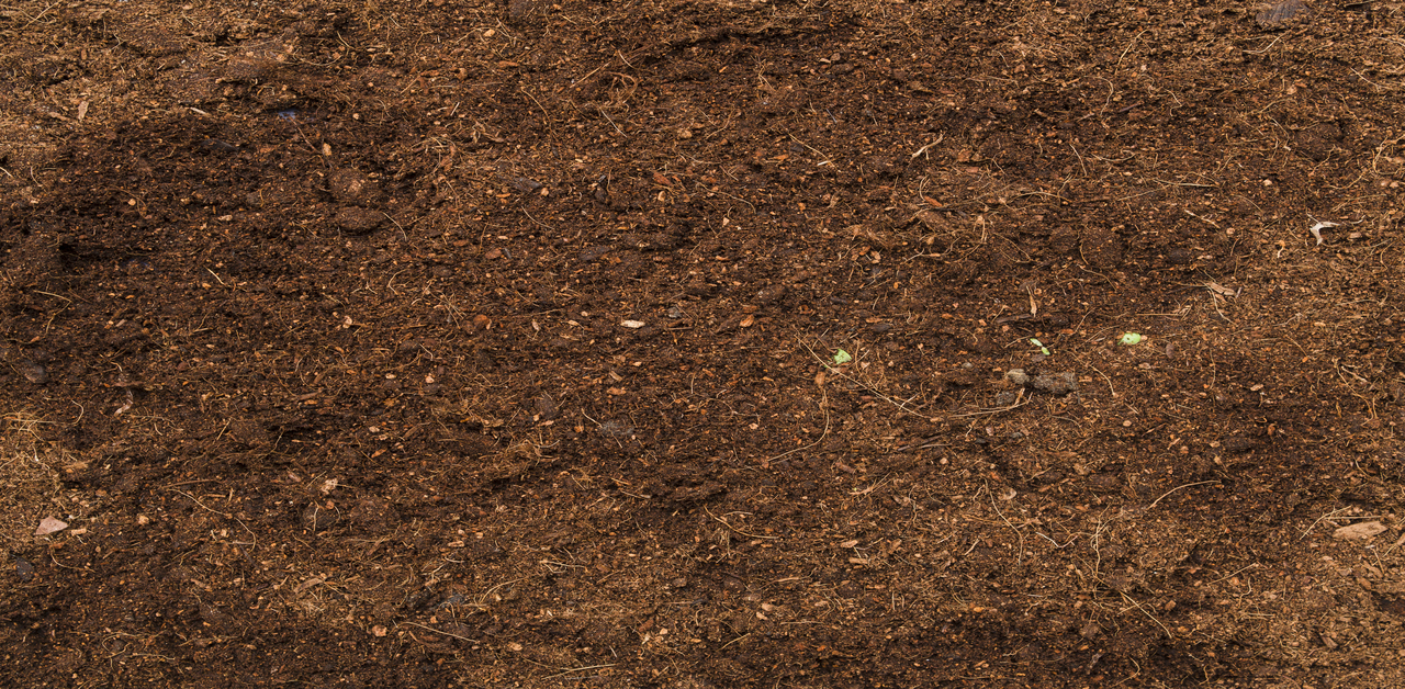 Peaty Soil