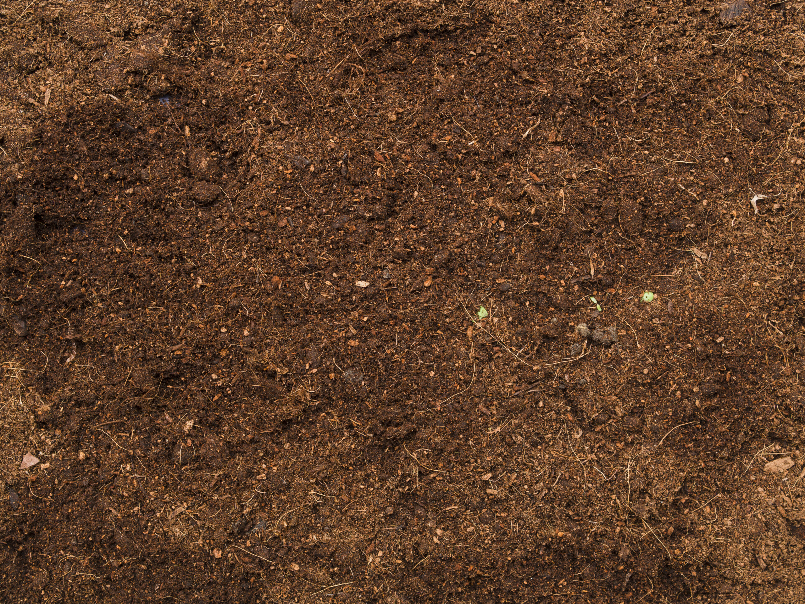 Peaty Soil in India