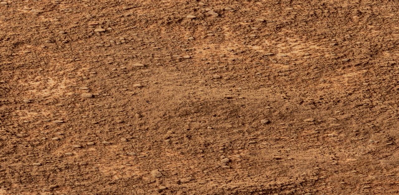 red and yellow soil