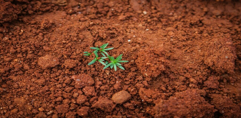 red and yellow soil