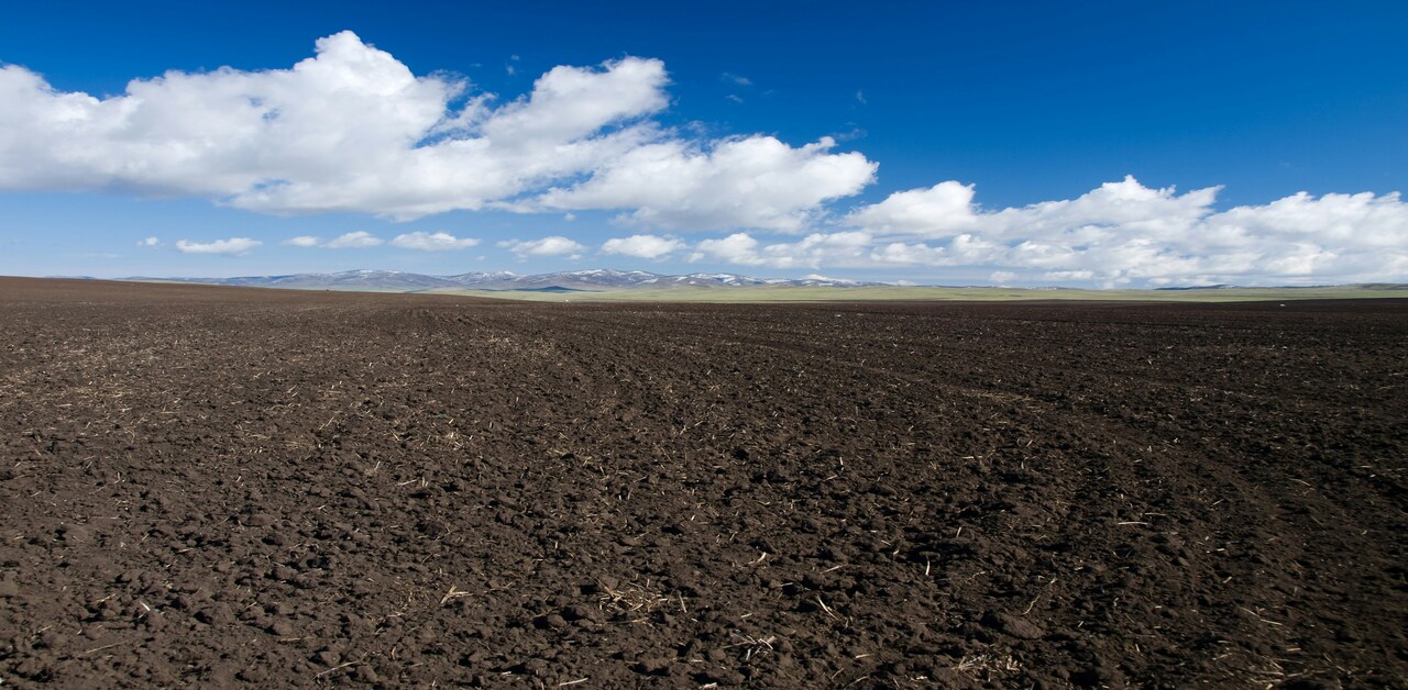 Soil