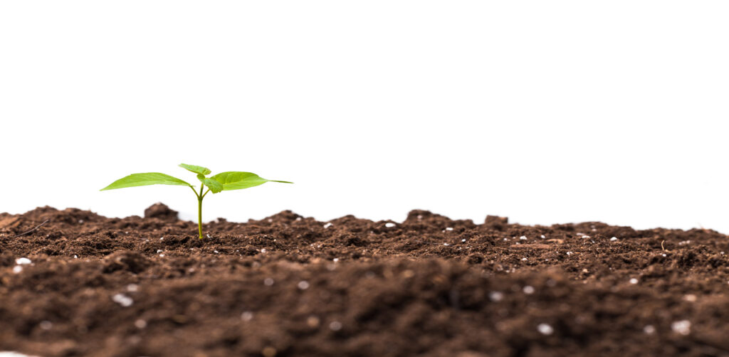 Soil
