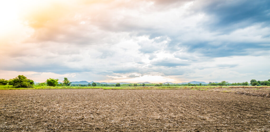 Soil