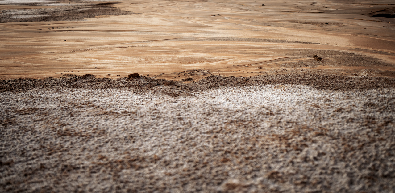 Saline Soil