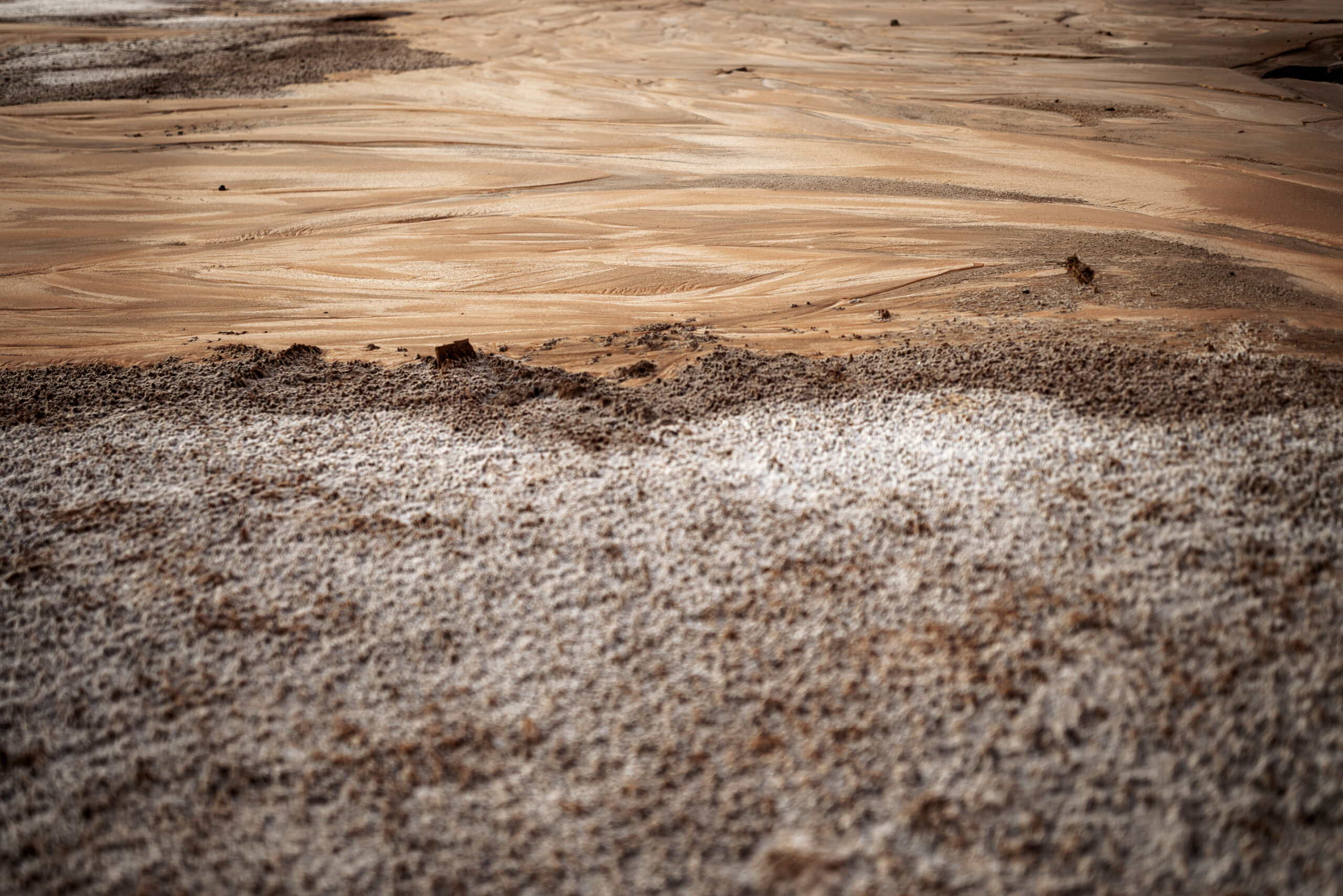 Saline soil