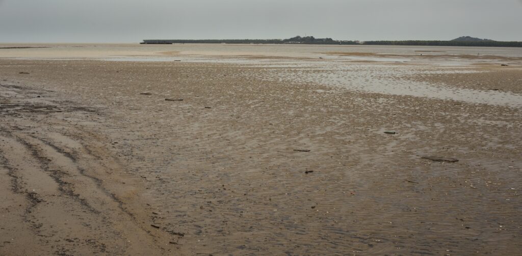 Saline Soil