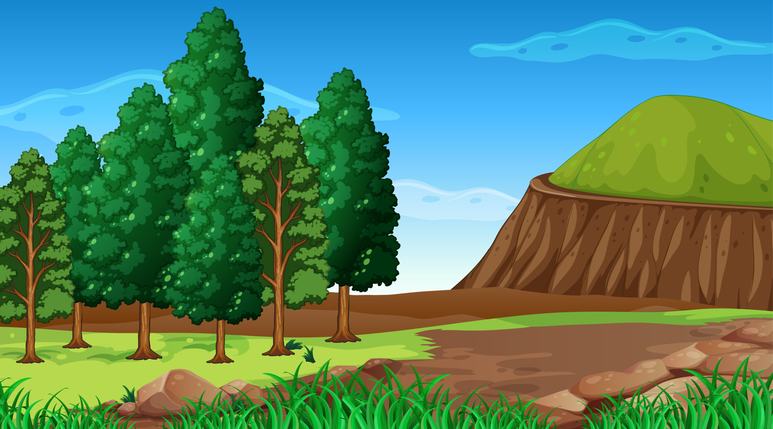 Forest Soil