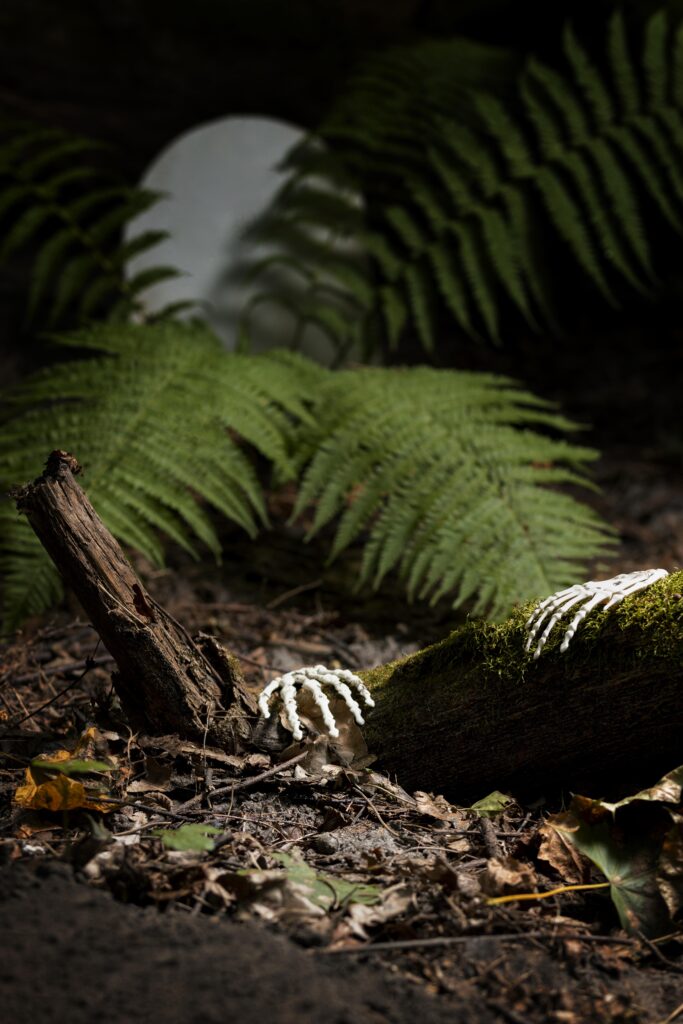 Forest Soil