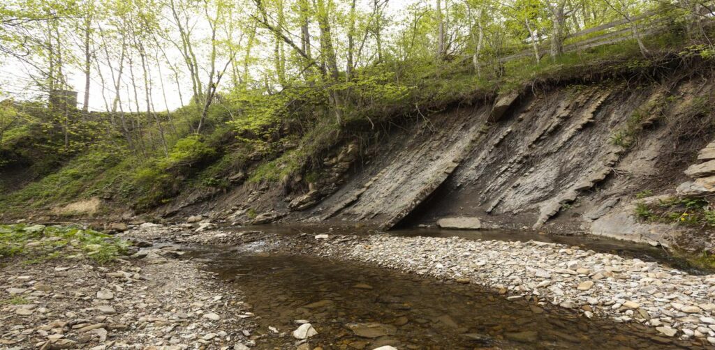 Gully Erosion