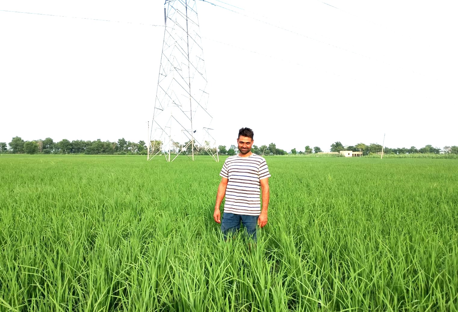 PM Kisan
