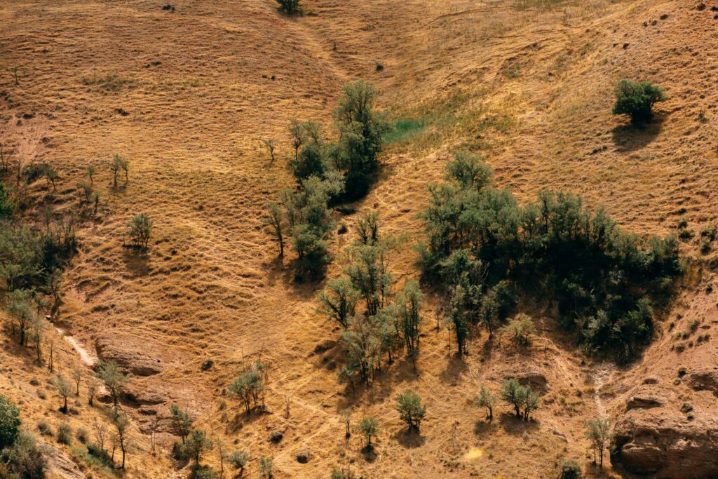Sheet Erosion