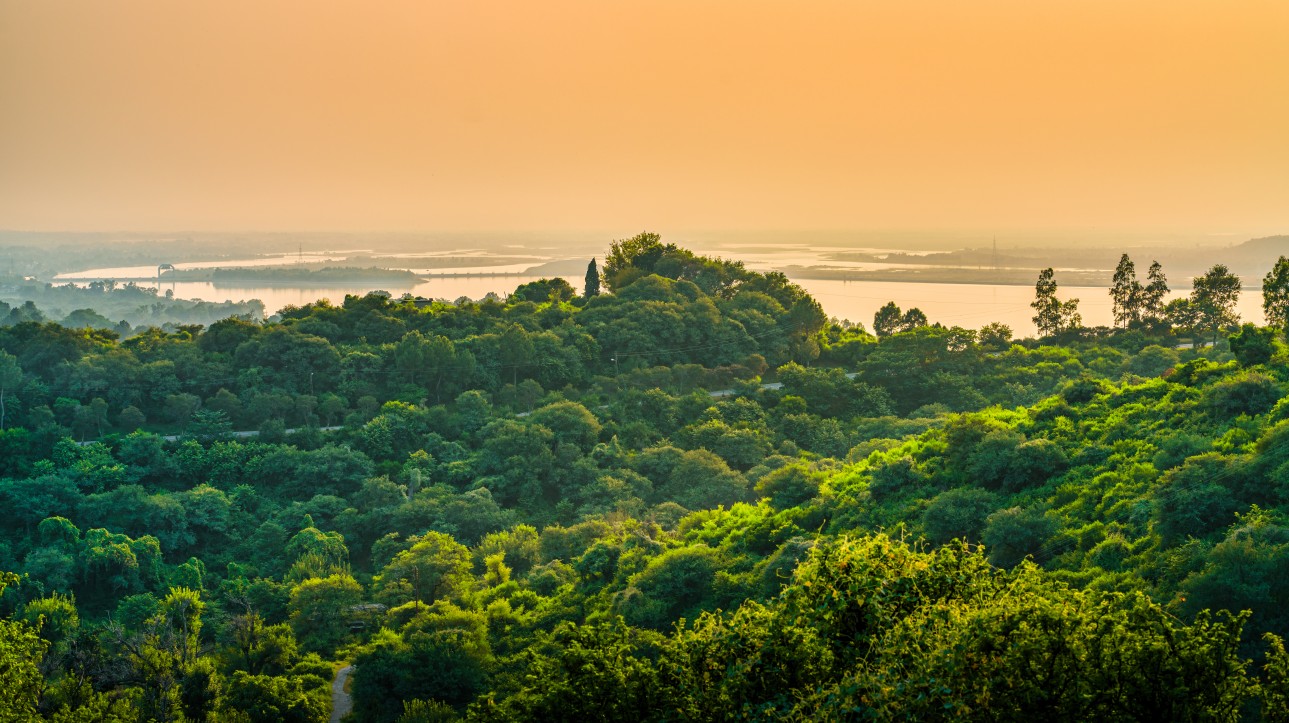 Tropical evergreen and semi-evergreen forests
