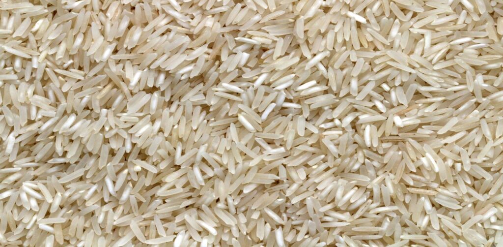 Rice Cultivation